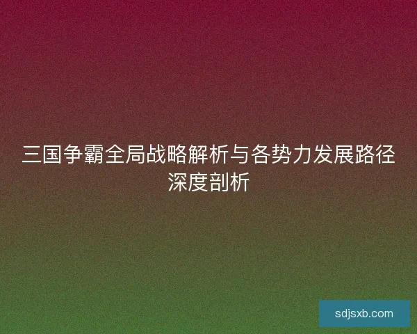 三国争霸全局战略解析与各势力发展路径深度剖析