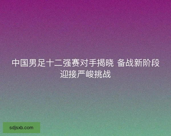 中国男足十二强赛对手揭晓 备战新阶段迎接严峻挑战